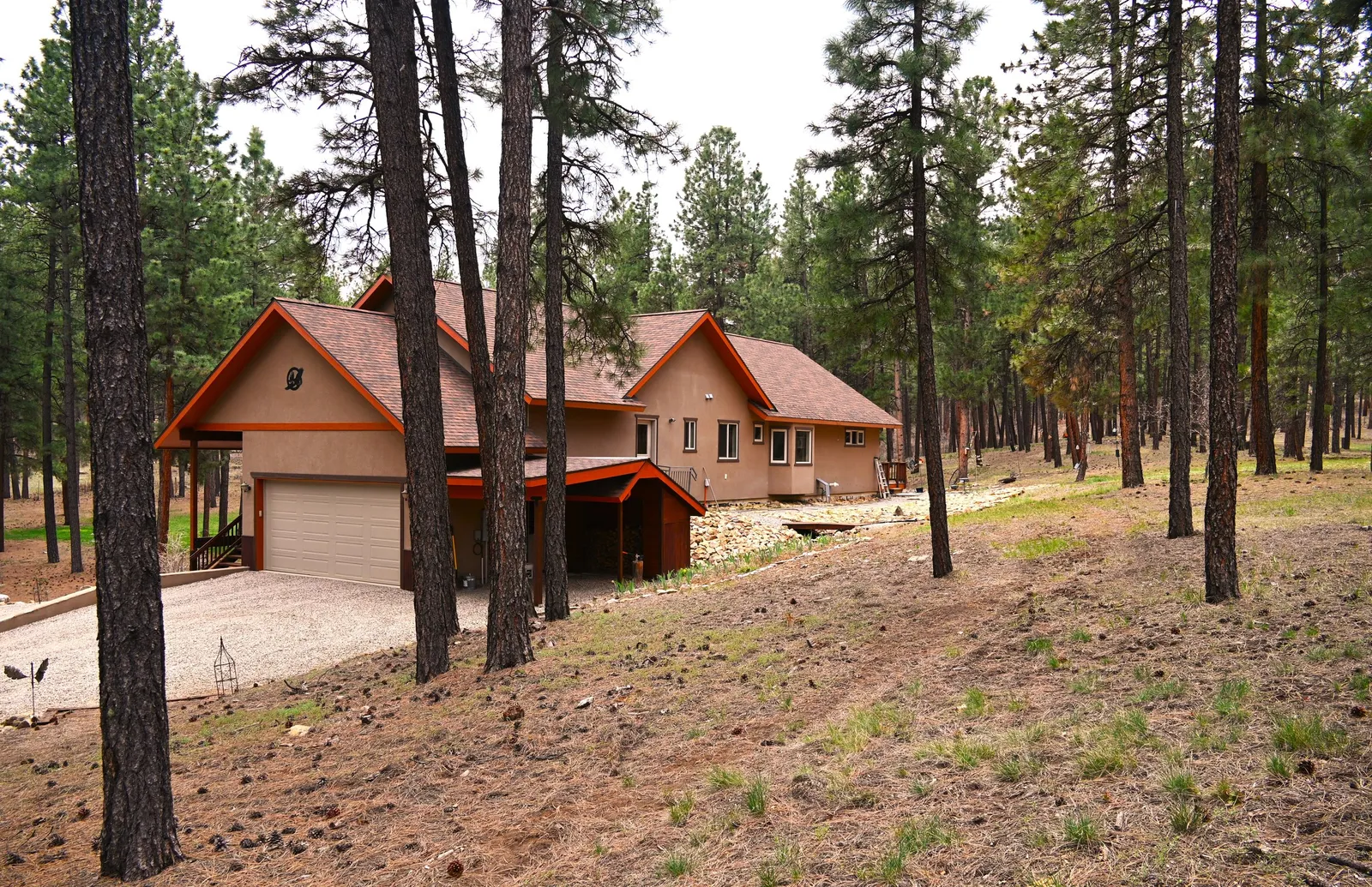 House sitting in a thinned pine stand with the brush and undergrowth cleared back around it