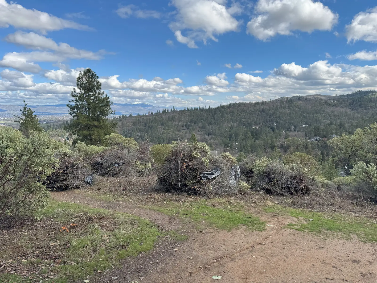 Defensible space fuels reduction near homes in Jacksonville, Oregon, with cut brush and small trees piled on a cleared hillside