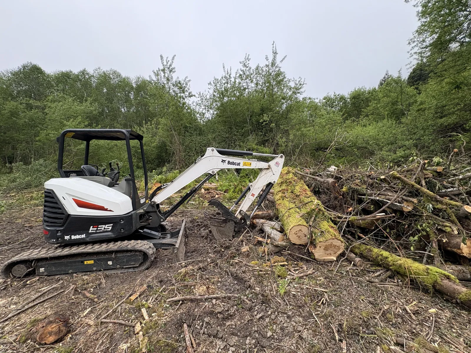 Excavator clearing brush off an overgrown property